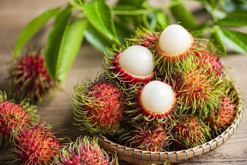 A Juicy Adventure: Your Ultimate Guide to Choosing the Best Tropical Fruits A Juicy Adventure: Your Ultimate Guide to Choosing the Best Tropical Fruits