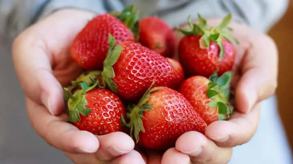 Fruits That Reduce Inflammation Naturally: Nature’s Powerful Healing Arsenal Fruits That Reduce Inflammation Naturally: Nature’s Powerful Healing Arsenal